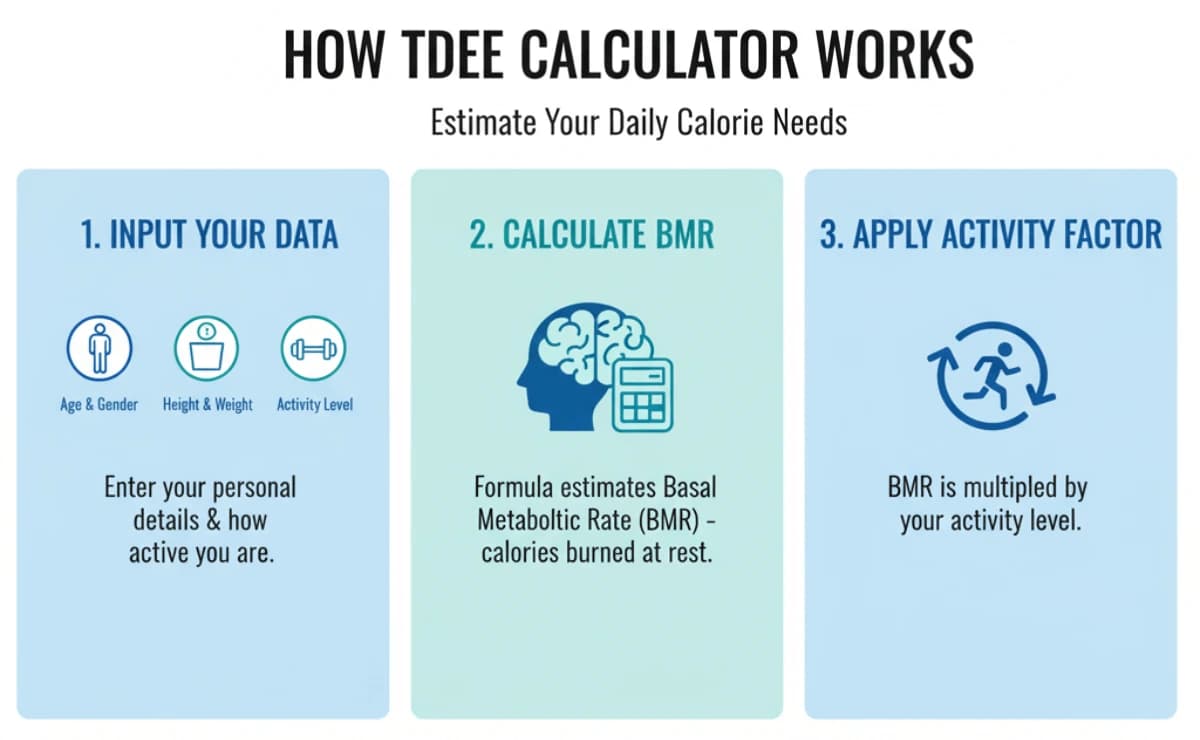 A person tracking their fitness journey on a tablet.